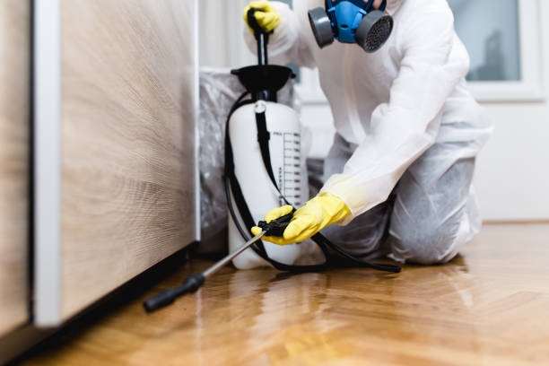 Best Residential Pest Control  in De Pue, IL
