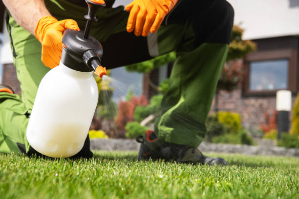 Best Wasp Removal Services  in De Pue, IL