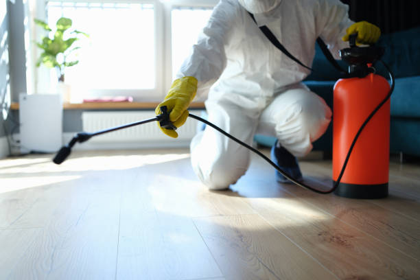 Best Pest Control for Homes  in De Pue, IL