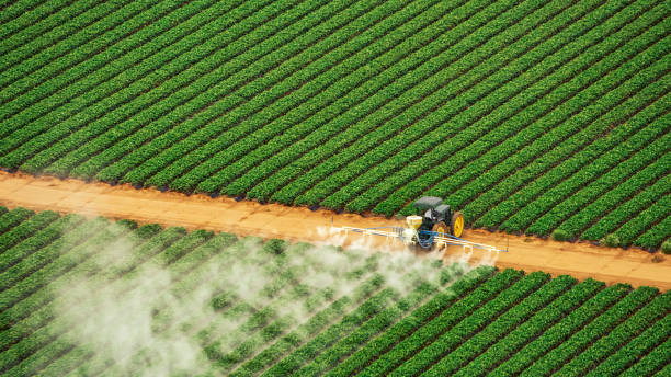 Best Pest Inspection Near Me  in De Pue, IL