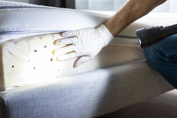 Best Pest Control Treatment  in De Pue, IL