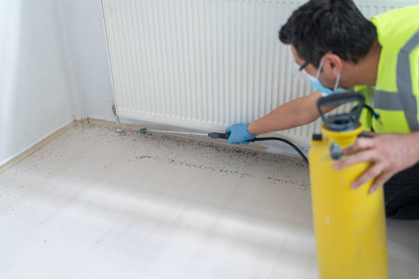 Best Emergency Pest Control  in De Pue, IL
