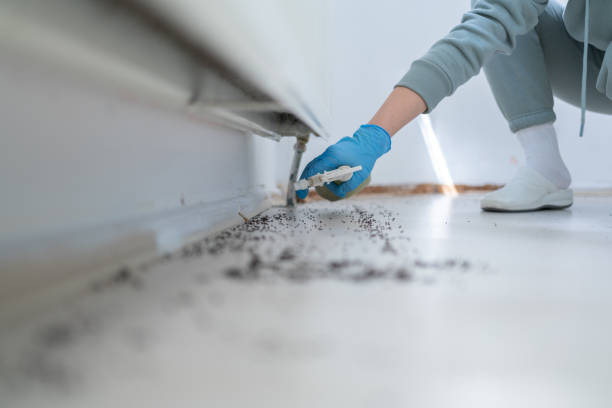 Professional Pest Control in De Pue, IL